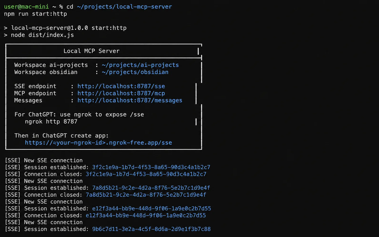 本机 MCP Server 在终端中启动成功,显示工作区路径和接口地址
